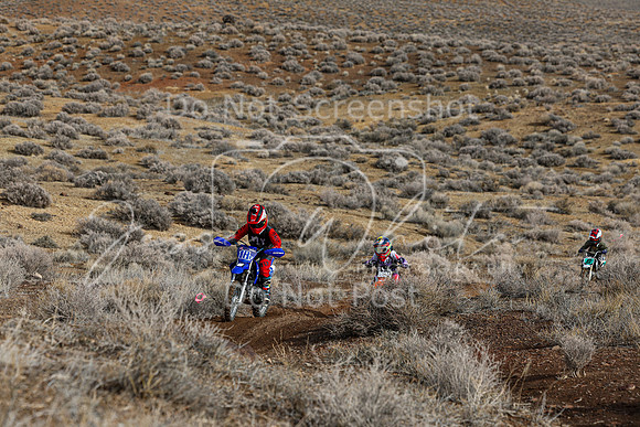 IMG_2229-18f