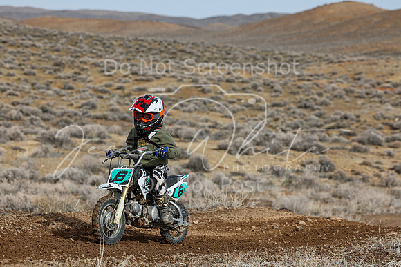 IMG_2237-6z