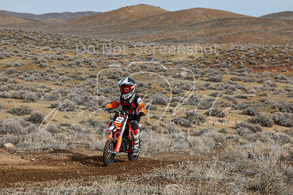 IMG_2245-9z