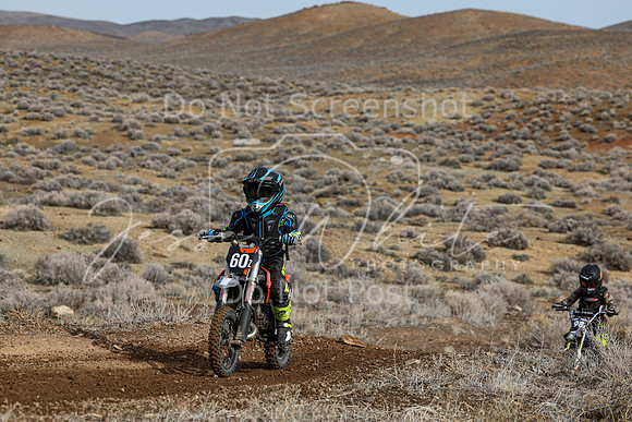 IMG_2270-60z
