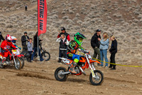 IMG_2317-308e