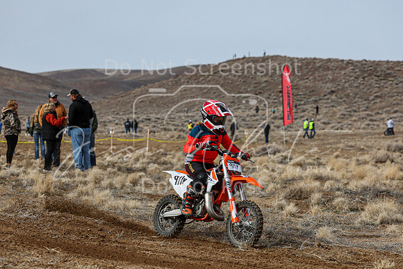 IMG_2421-911y