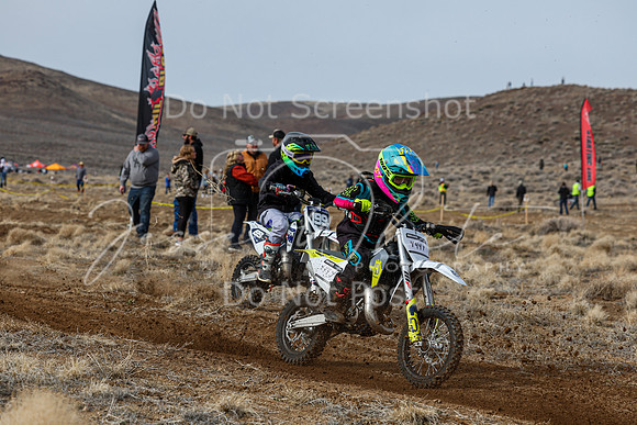 IMG_2417-444y