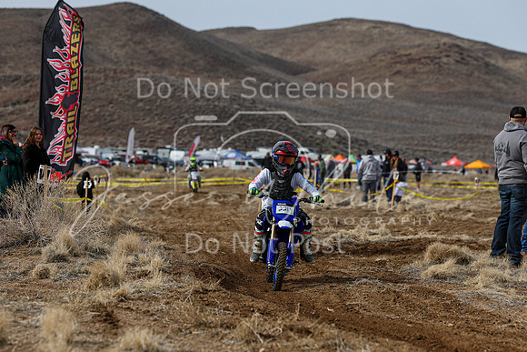IMG_2446-221y