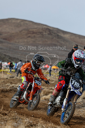 IMG_2479-303y
