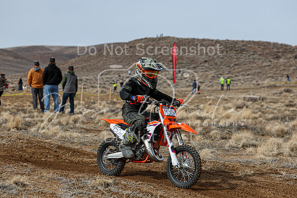IMG_2472-450y