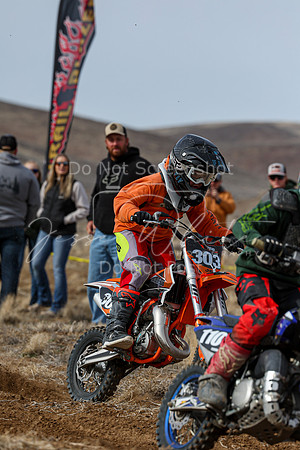 IMG_2481-303y