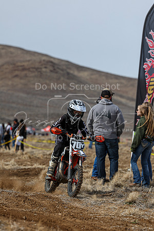 IMG_2484-70y
