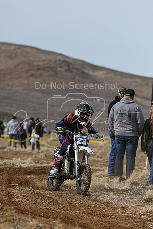 IMG_2491-23y