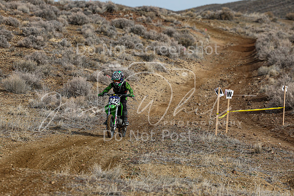 IMG_2499-242y