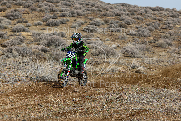 IMG_2503-242y