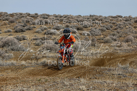 IMG_2520-303y