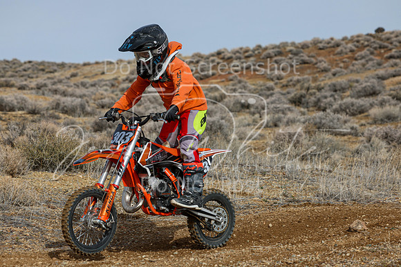 IMG_2524-303y