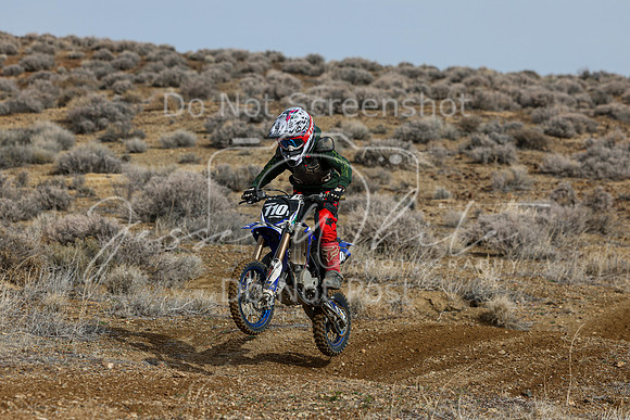 IMG_2527-110y