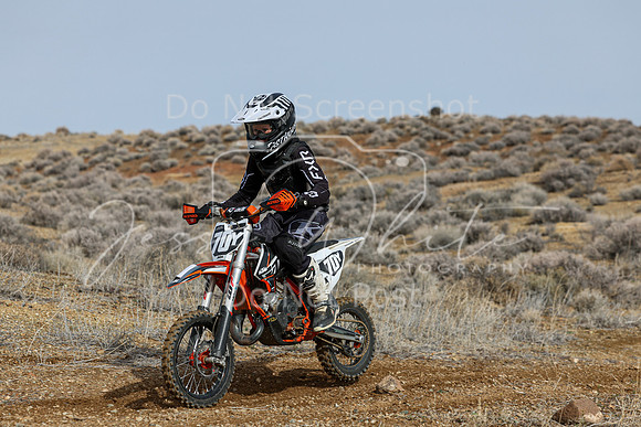 IMG_2539-70y