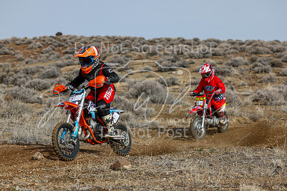 IMG_2548-8y