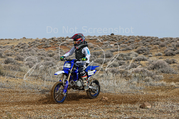 IMG_2564-221y