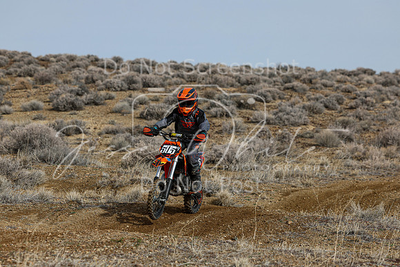 IMG_2570-505y
