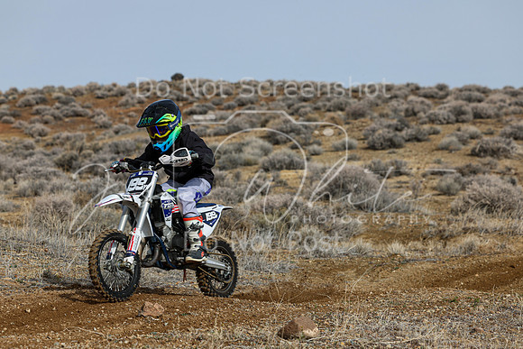 IMG_2586-199y