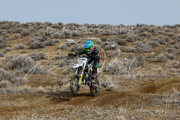 IMG_2587-444y