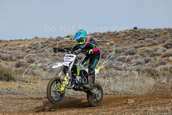 IMG_2591-444y