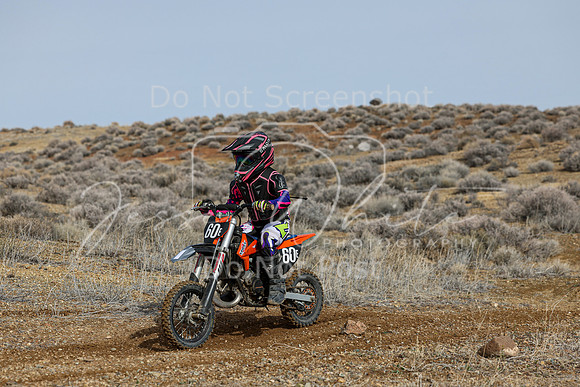 IMG_2599-60e