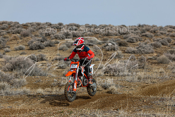 IMG_2600-911y