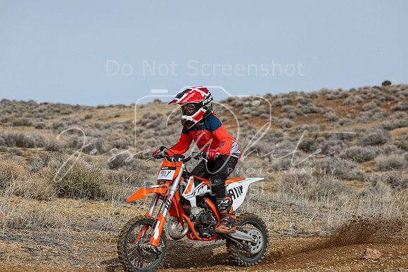 IMG_2603-911y
