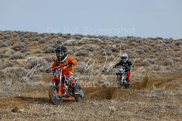 IMG_2623-303y