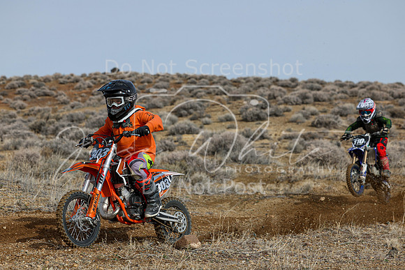 IMG_2624-303y