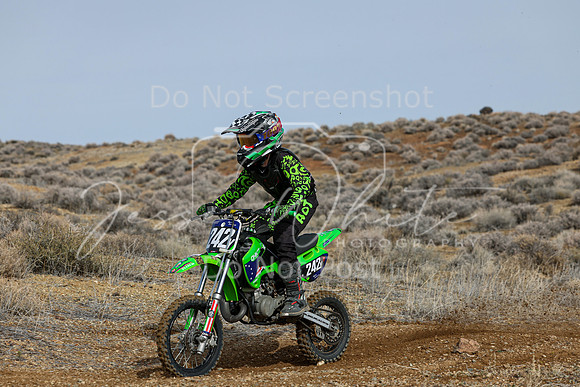 IMG_2632-242y