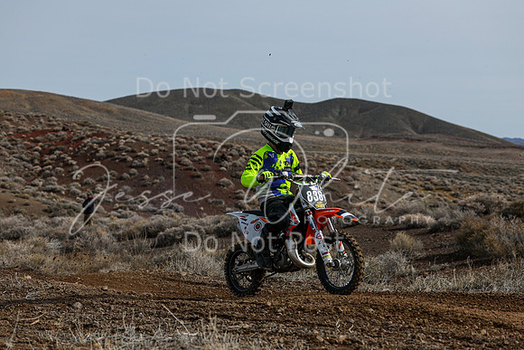 IMG_2709-838y
