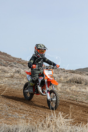 IMG_2922-450y