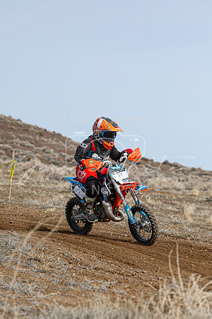 IMG_2918-8y