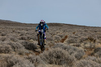 IMG_3036-828v