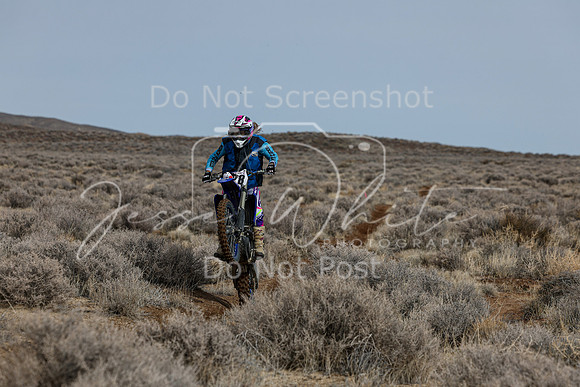 IMG_3036-828v