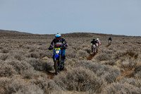 IMG_3095-214v