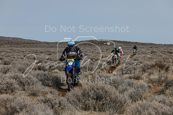 IMG_3095-214v