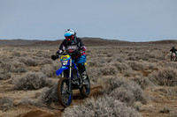 IMG_3097-214v