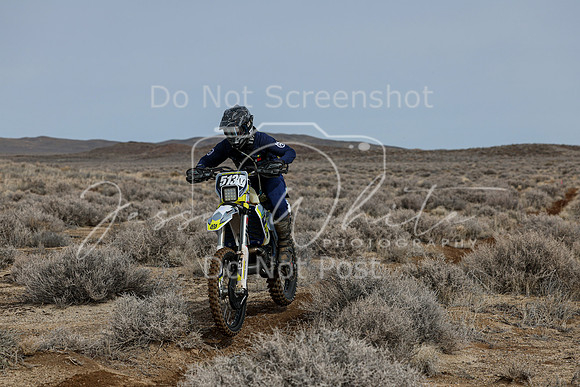 IMG_3108-513v