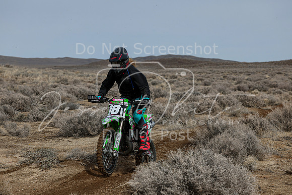 IMG_3116-18v