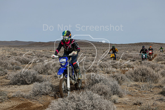IMG_3134-825v