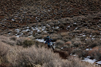 IMG_3321-111j
