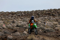 IMG_3568-555v