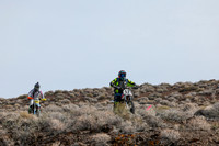 IMG_3591-52b