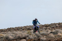 IMG_3603-828v