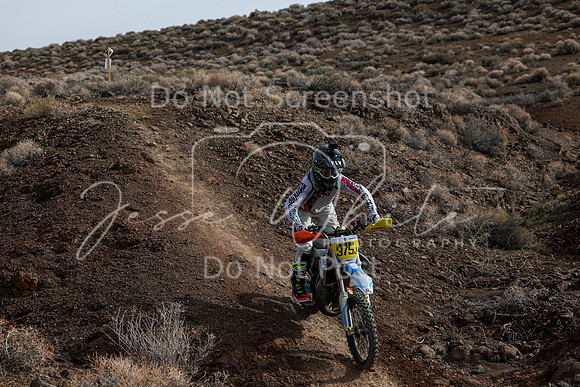 IMG_3600-375j