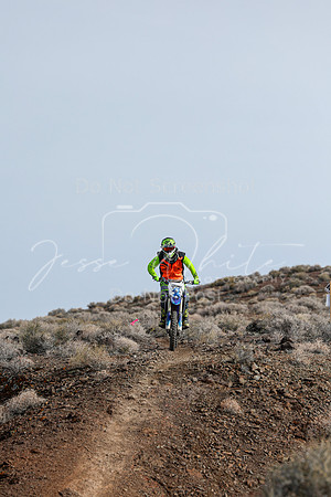 IMG_3634-309v