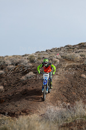 IMG_3637-309v