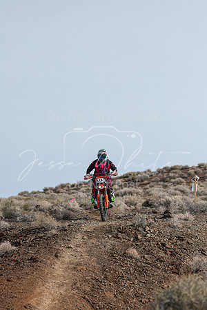 IMG_3656-373v